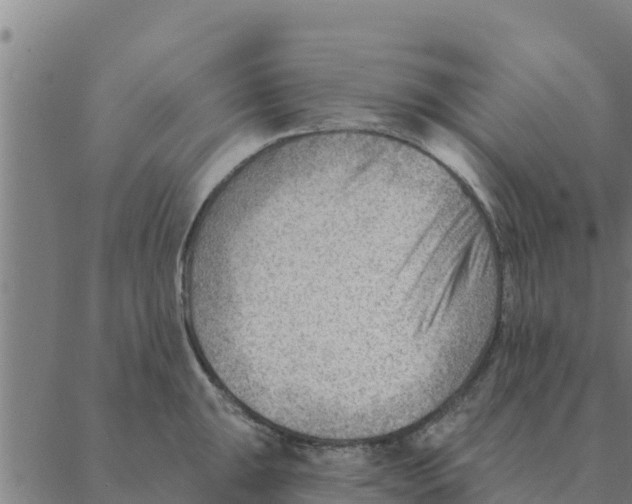 X0000088411047200706191417