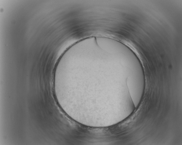 X0000088411048200706191417