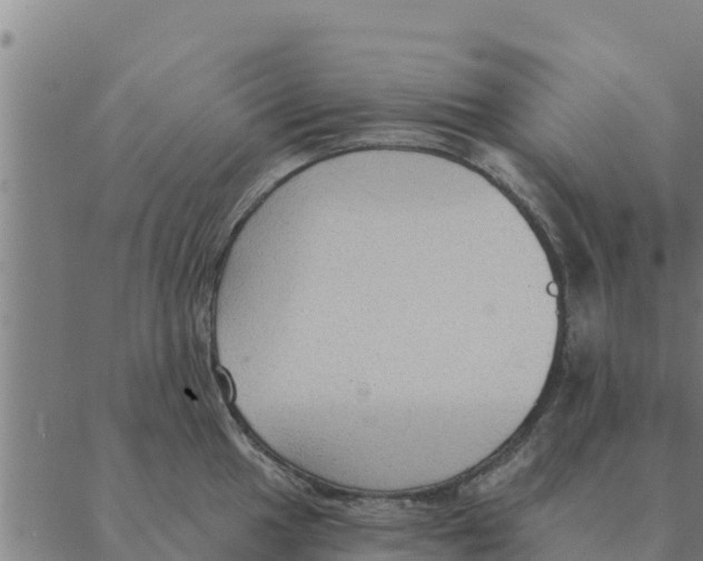 X0000088411049200706191417