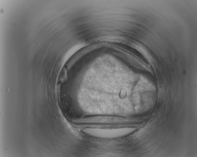 X0000088411050200706191417