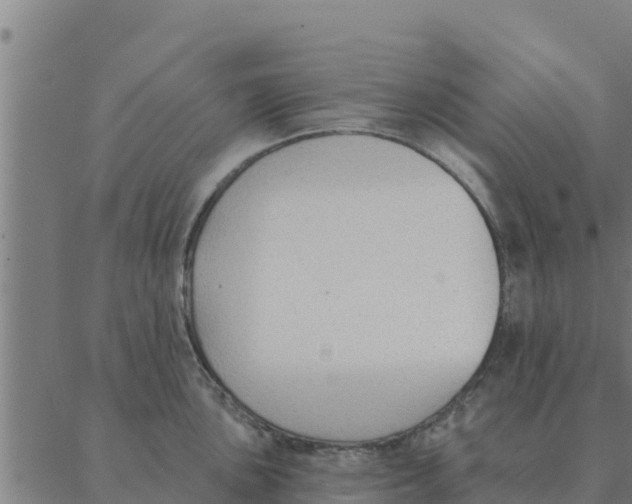 X0000088411051200706191417