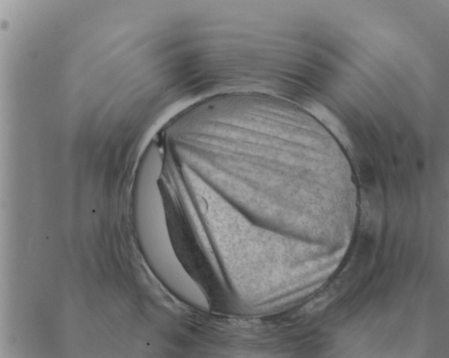 X0000088411052200706191417