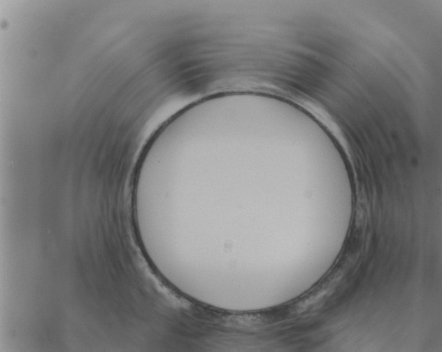 X0000088411053200706191417