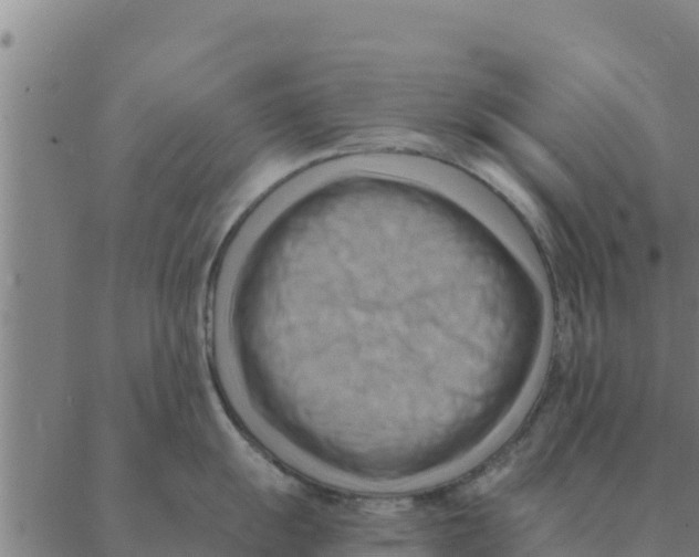 X0000088411055200706191417