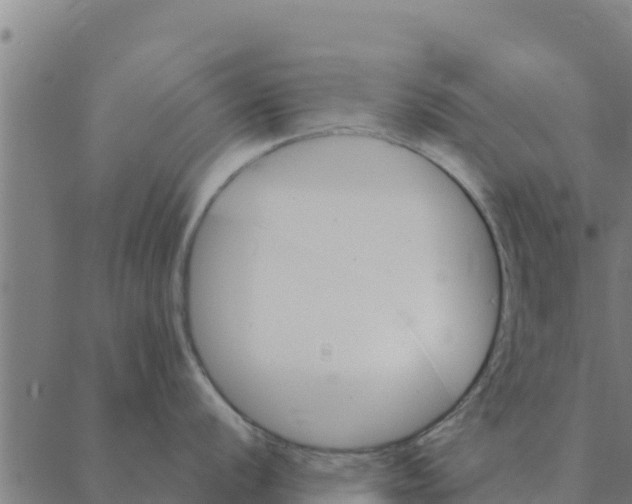 X0000088411056200706191417