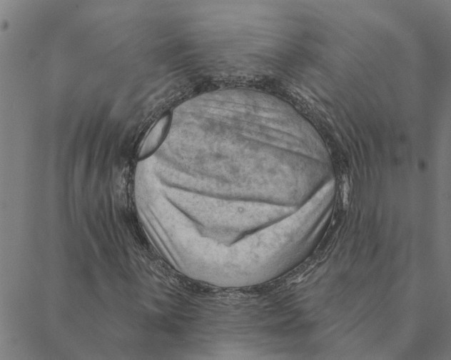 X0000088411059200706191417