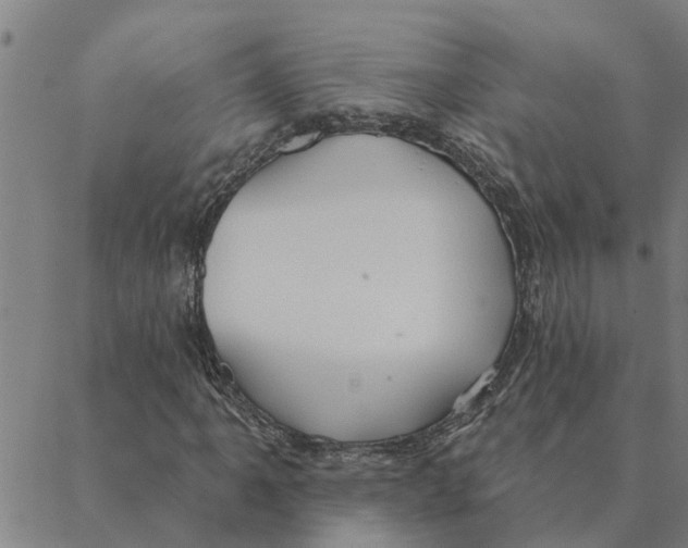 X0000088411061200706191417