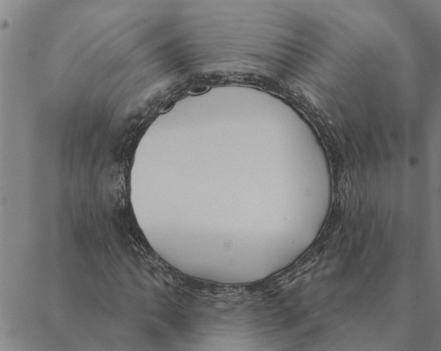 X0000088411062200706191417