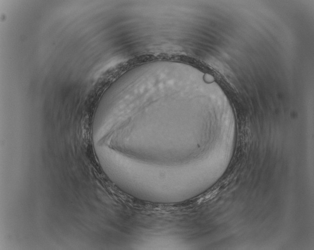 X0000088411063200706191417