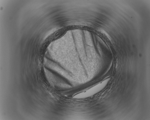 X0000088411064200706191417