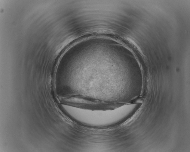 X0000088411065200706191417