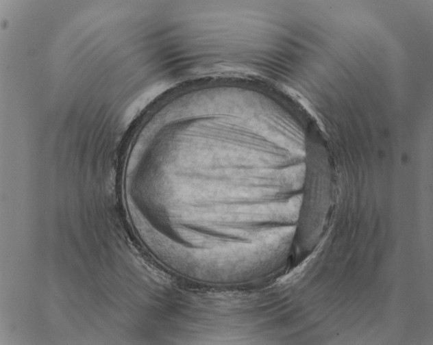 X0000088411066200706191417