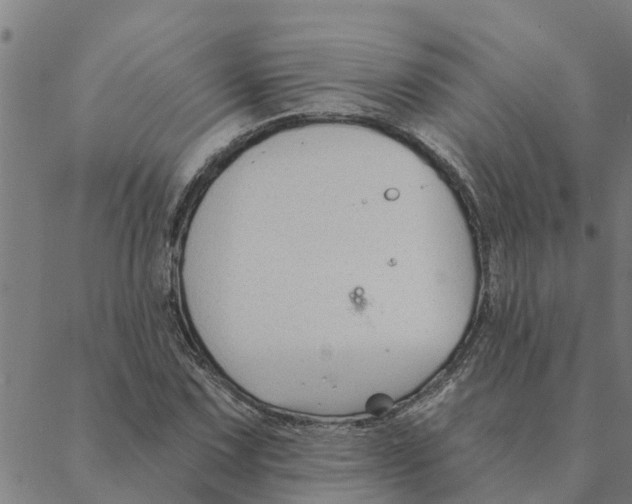 X0000088411067200706191417