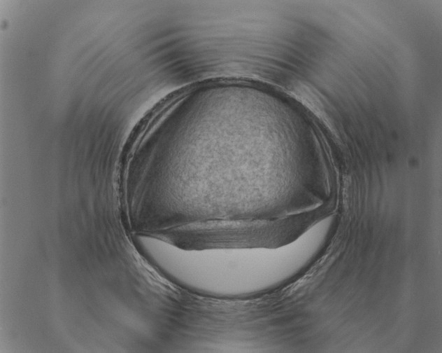 X0000088411068200706191417