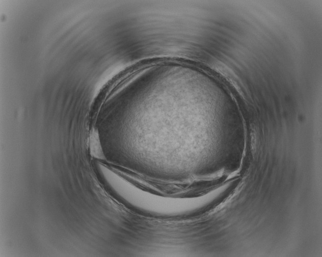 X0000088411069200706191416