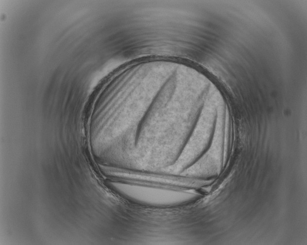 X0000088411070200706191416