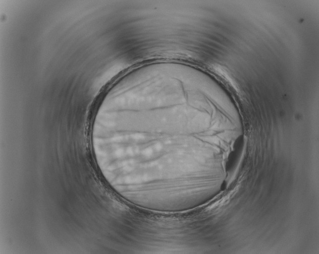 X0000088411071200706191416