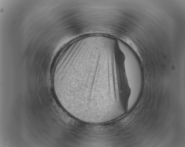 X0000088411072200706191416