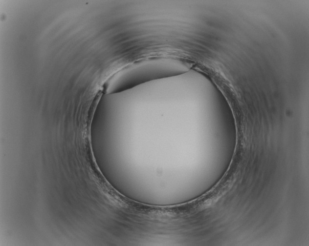 X0000088411073200706191416