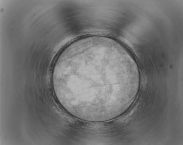 X0000088411074200706191416