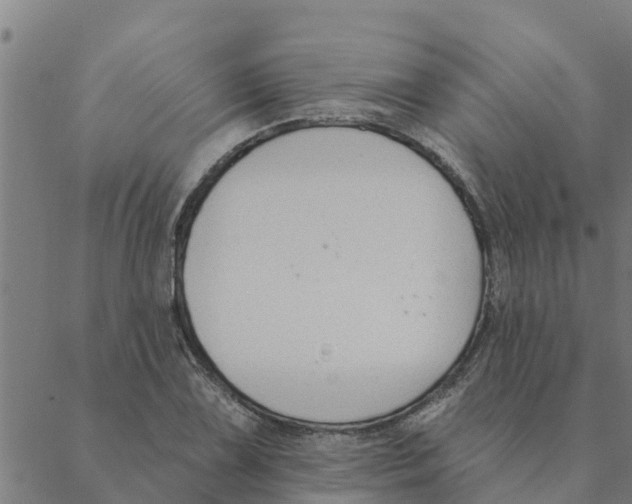 X0000088411075200706191416