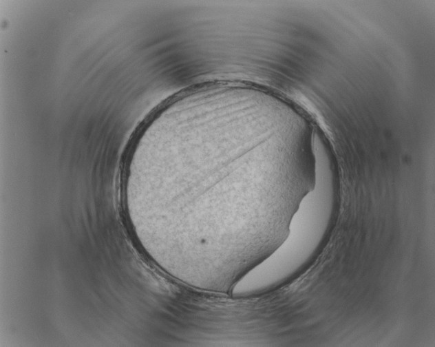 X0000088411076200706191416