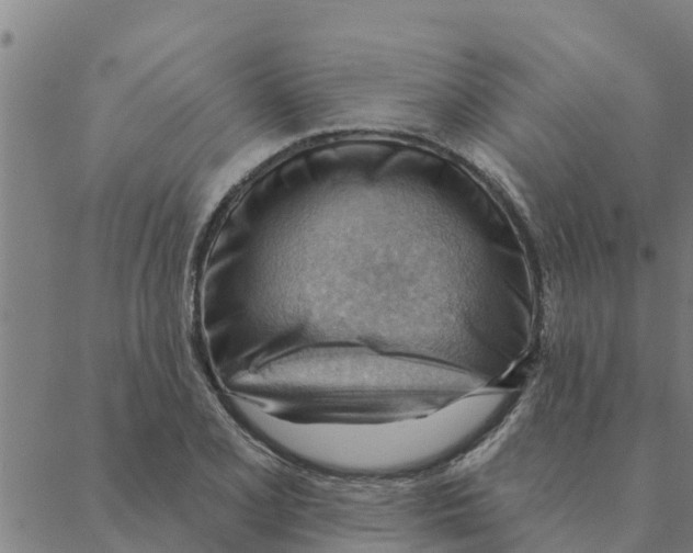 X0000088411077200706191416