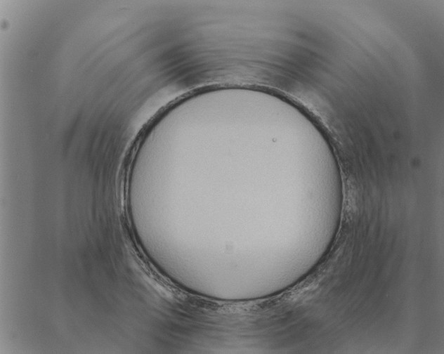 X0000088411078200706191416