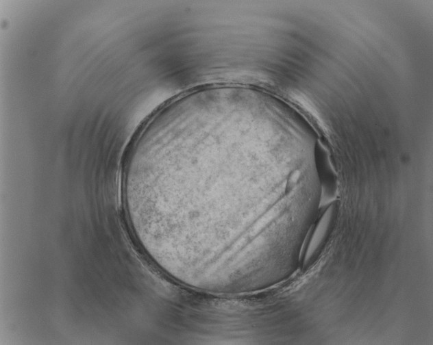 X0000088411079200706191416