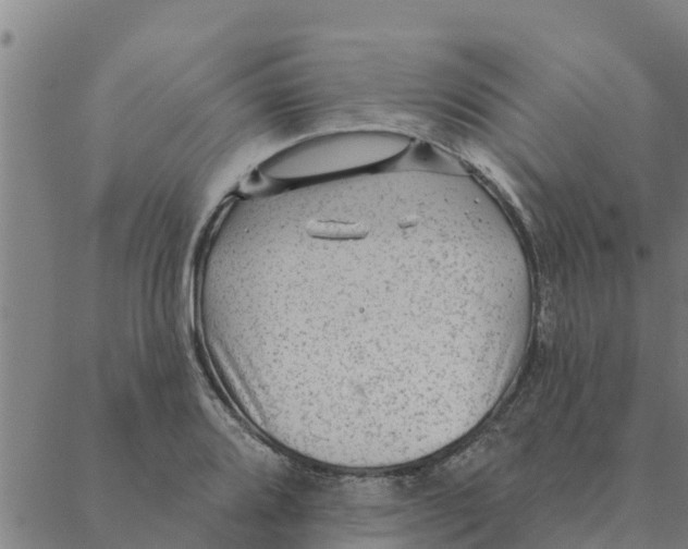 X0000088411080200706191416