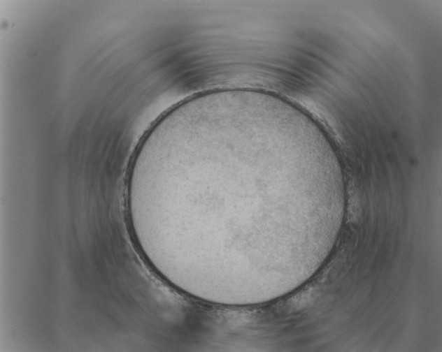 X0000088411086200706191416