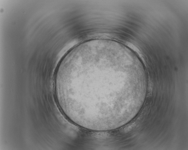 X0000088411090200706191416