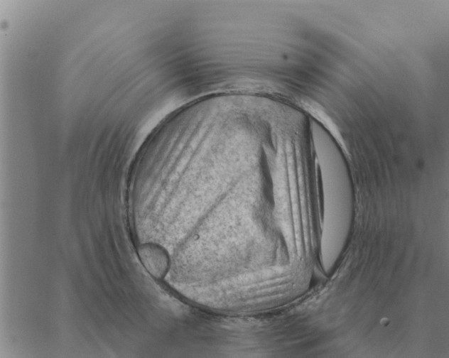 X0000088411091200706191416