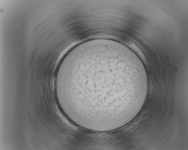 X0000088411092200706191416