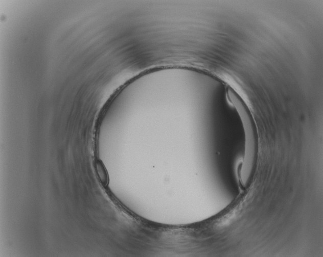 X0000088411093200706191416