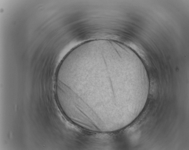 X0000088411094200706191416