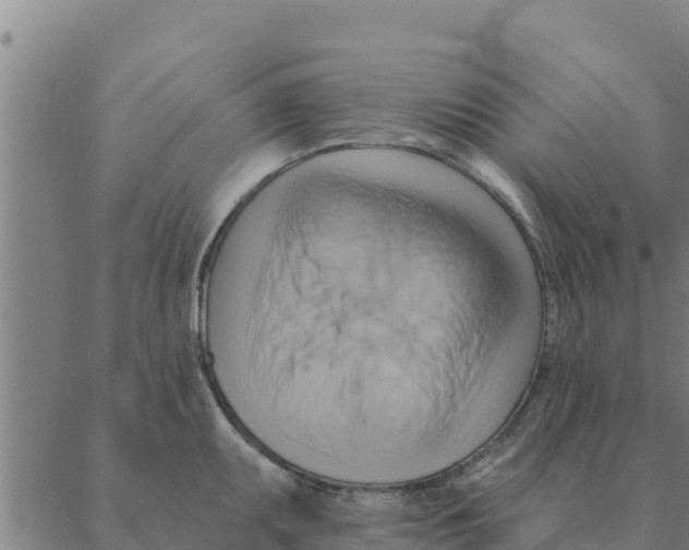 X0000088411095200706191416