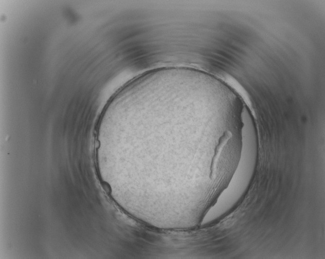 X0000088411096200706191416