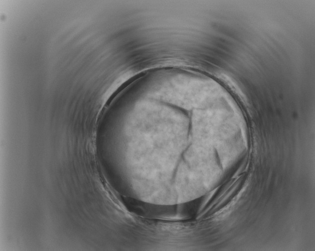 X0000088411097200706191416