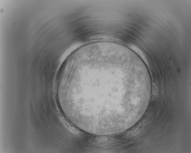 X0000088411098200706191416