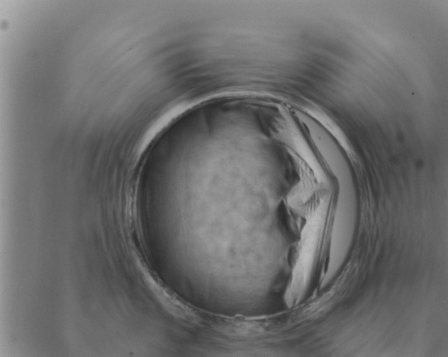 X0000088411101200706191416