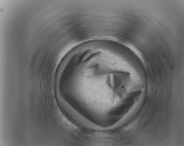 X0000088411102200706191416