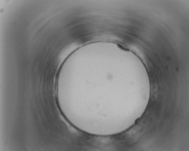 X0000088411103200706191416