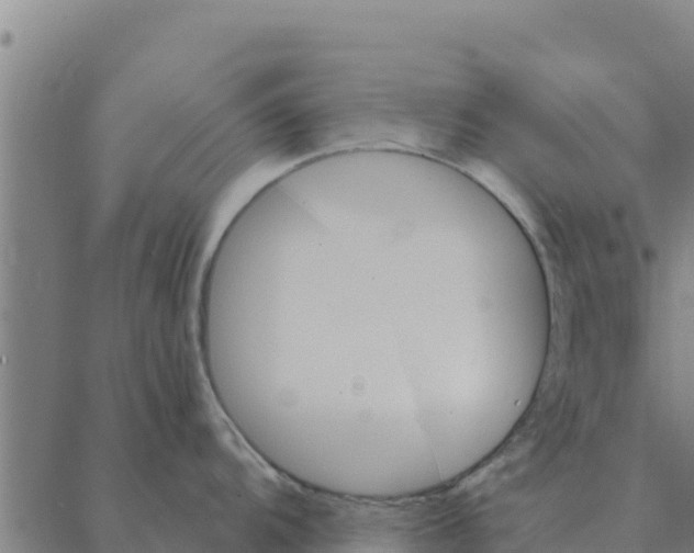 X0000088411104200706191416