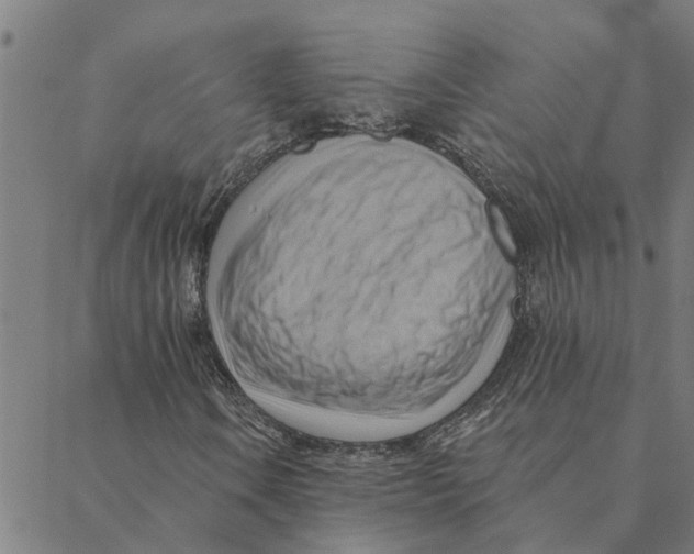 X0000088411106200706191415