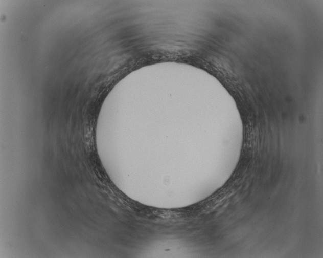 X0000088411109200706191415