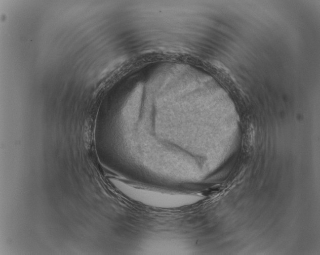 X0000088411110200706191415