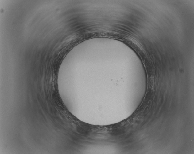 X0000088411111200706191415