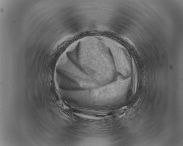 X0000088411112200706191415