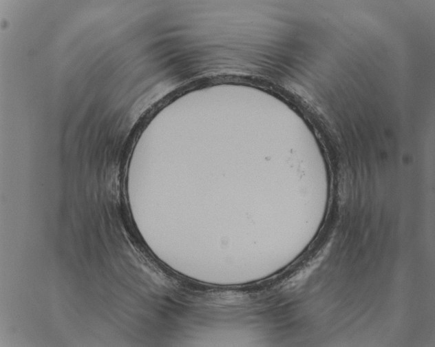 X0000088411113200706191415